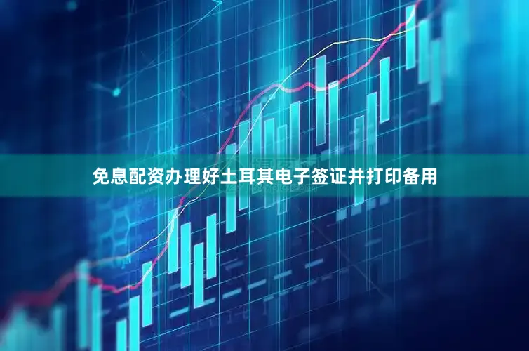 免息配资办理好土耳其电子签证并打印备用