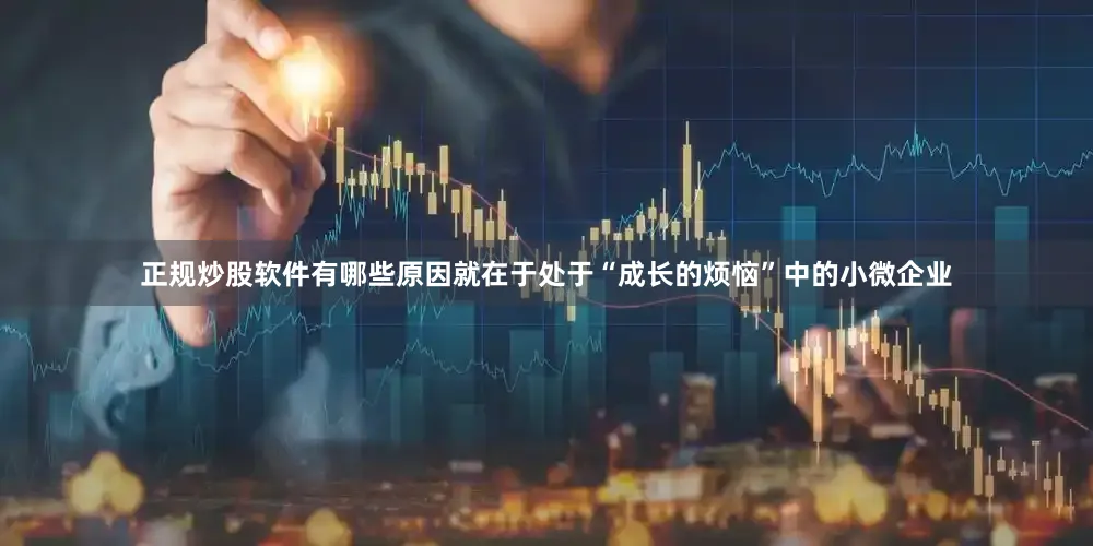 正规炒股软件有哪些原因就在于处于“成长的烦恼”中的小微企业